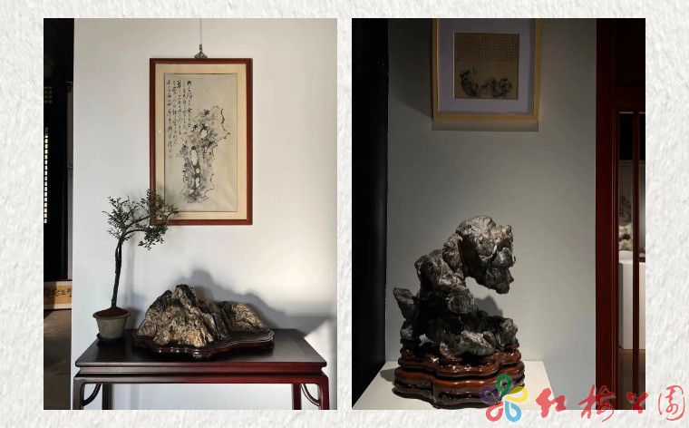 红梅阁丨石不能言最可人(图7) 红梅阁丨石不能言最可人(图7)